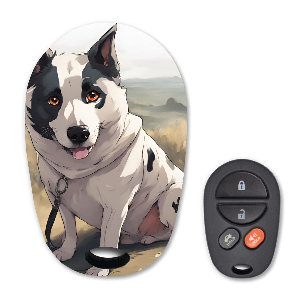 My Key, My Style: 4 Button Keyless Entry Remote Car Key FOB for Toyota Avalon and Solara - Trunk (Shell Only)